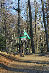 Image showing Mountain cyclist 