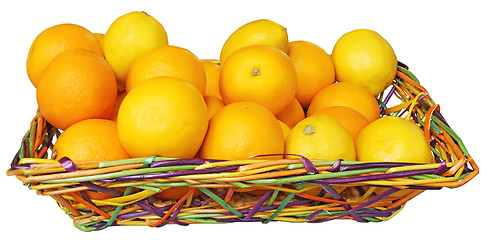Image showing citrus