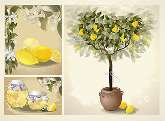 Image showing Tree illustration with lemon fruits. Jam fruit. Preserved fruits