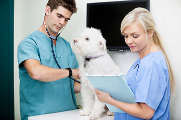 Image showing Veterinarian Doctor Examining Dog With Female Nurse At Clinic