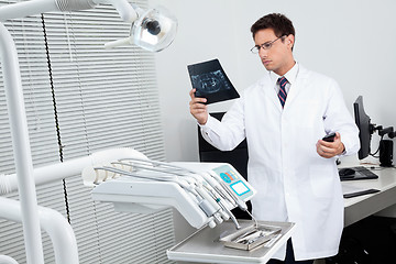 Image showing Dentist Analyzing X-Ray Report