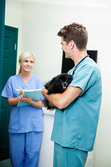 Image showing Veterinarian Doctor With A Dog Looking At Female Nurse Holding C