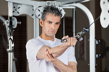 Image showing Man Working Out In Gym