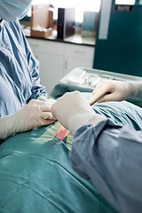 Image showing Close-Up Of Veterinarian Doctor And Female Assistant Performing