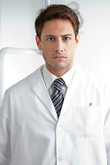 Image showing Serious Male Dentist In Clinic