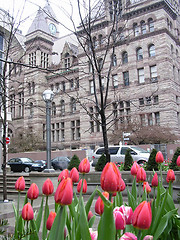 Image showing Red Tulips and the Castle