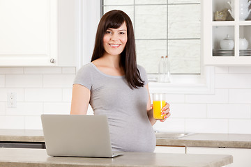 Image showing Pregnant Woman with Laptop Computer