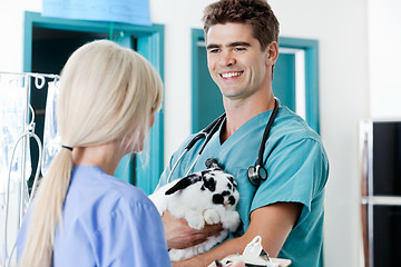 Image showing Veterinarian Doctor With Rabbit Looking At Female Nurse