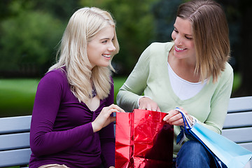 Image showing Young Shopping Woman in Park