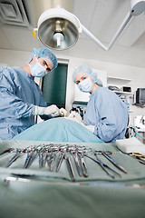 Image showing Veterinarian Doctors Performing Surgery At Clinic