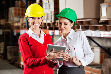 Image showing Female Supervisor With Colleague At Warehouse