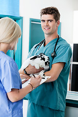 Image showing Veterinarian Doctor With Rabbit
