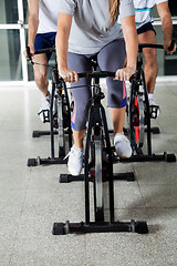 Image showing Low Section Of People On Exercise Bikes