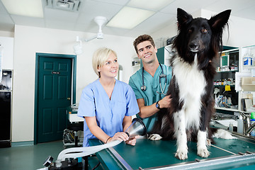 Image showing Young Veterinarian Doctors with Dog