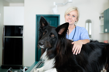 Image showing Female Veterinarian Doctor With A Dog At Clinic