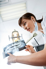 Image showing Female Dentist Looking At X-Ray Image