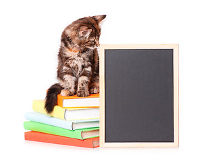 Image showing Kitten with chalkboard