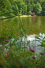 Image showing Cottage at a lake