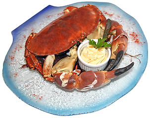 Image showing Cooked crab