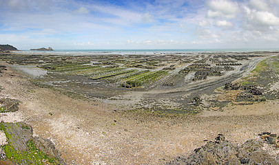 Image showing Farming Oyster Cancale