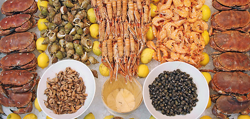 Image showing Seafood