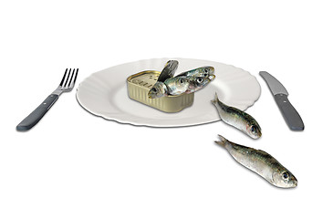 Image showing sardines in a can