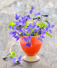 Image showing violets flowers (Viola odorata)