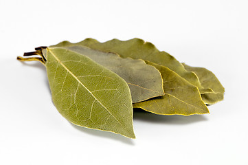 Image showing Bay leaf