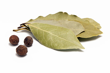 Image showing Allspice and bay leaf