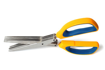 Image showing Herb scissors