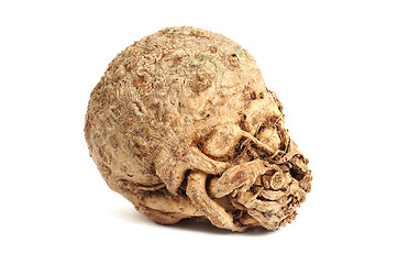 Image showing Celery root on white