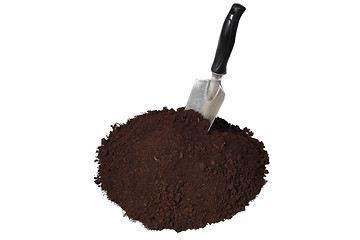 Image showing Trowel and soil