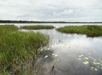 Image showing wetlands around Coba