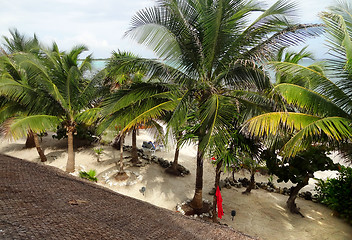 Image showing beach around Coba