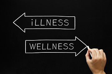 Image showing Wellness or Illness Concept