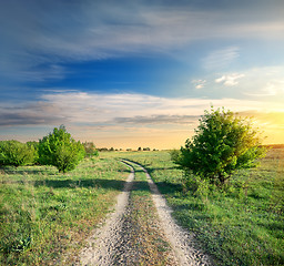 Image showing Road and trees