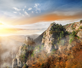 Image showing Fog in the mountain canyon