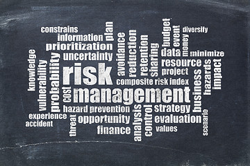 Image showing risk management word cloud