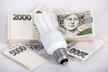 Image showing saving money with energy saving bulb