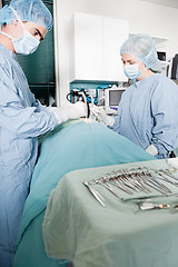 Image showing Veterinarian Doctor And Female Assistant Performing A Surgery