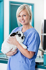 Image showing Female Veterinarian Doctor With Rabbit