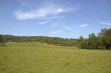 Image showing Summer landscape