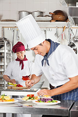 Image showing Male Chef Garnishing Dish