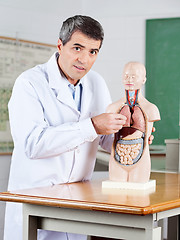 Image showing Male Teacher Examining Anatomical Model At Desk