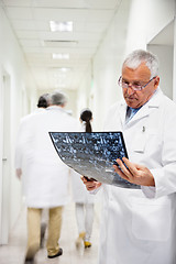 Image showing Senior Radiologist Reviewing X-ray