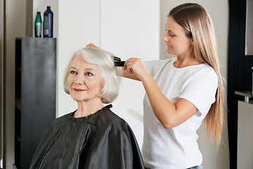 Image showing Client Having Hair Straightened By Hairstylist