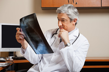 Image showing Radiologist Analyzing Shoulder X-ray