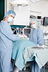 Image showing Veterinarian Doctor And Female Assistant Performing A Surgery