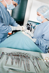 Image showing Focus On Surgical Forceps With Veterinarian Doctors In Operating