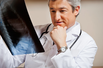 Image showing Radiologist Studying X-ray